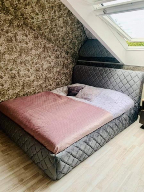 Jaukiai įrengtų apartamentų nuoma Palangos centre